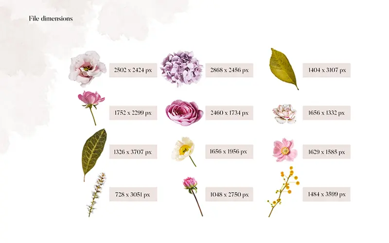 Mila bouquet file dimensions