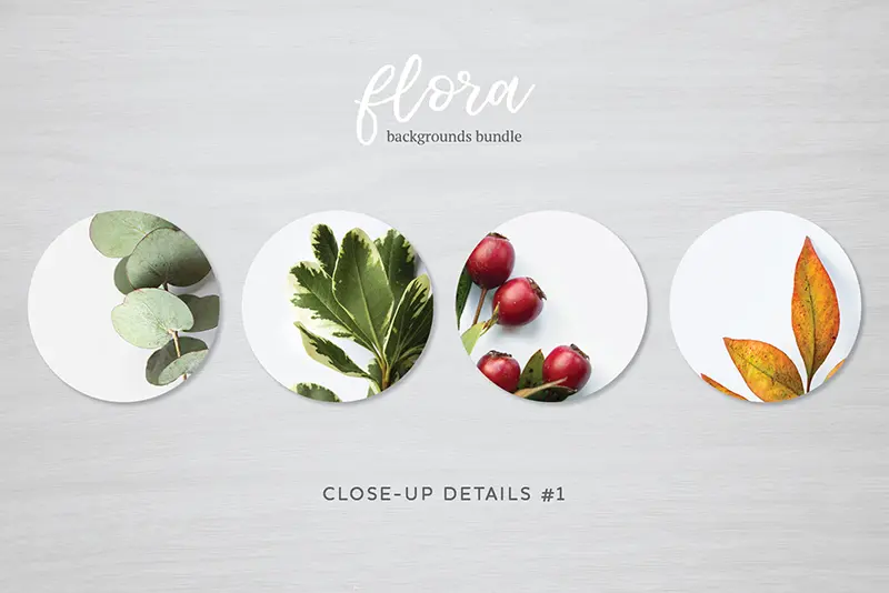 flora backgrounds bundle details