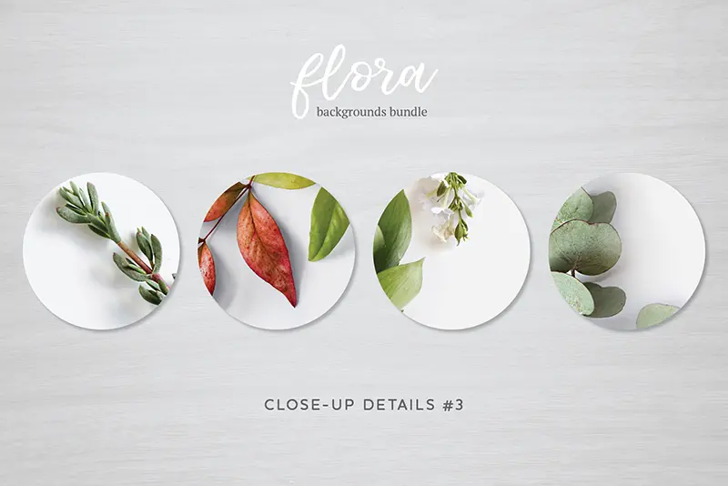 flora close ups