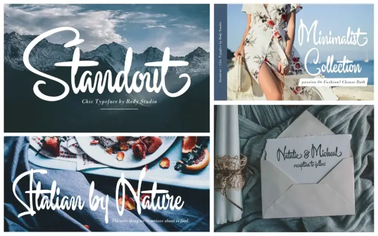 a collage of the previews of Stand out Contemporary fonts