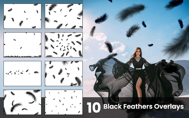 Black Feathers