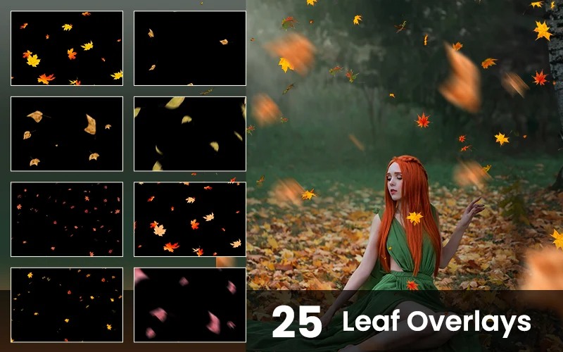 Leaf Overlays