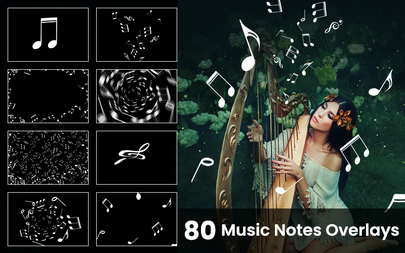Music Notes