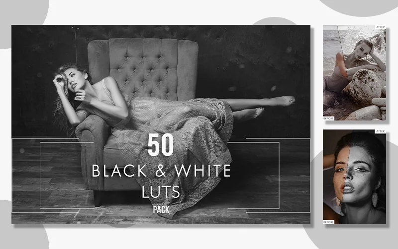 A preview of the Black & White Photo LUTs Pack included in the bundle