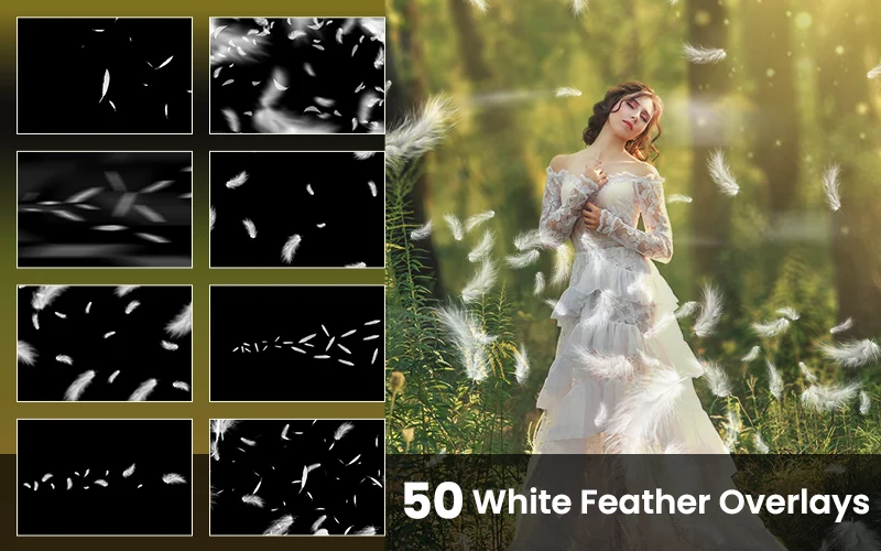 White Feathers
