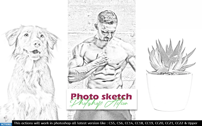 photo sketch effect, affinity photo sketch effect, photo sketch photoshop action