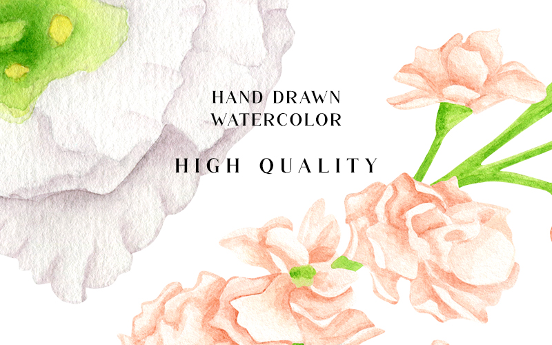 Preview of Hand-Drawn Watercolor Flower Illustrations included in the PNG images