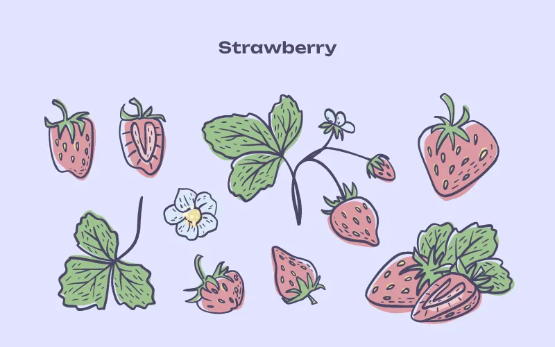 Strawberry illustrations preview