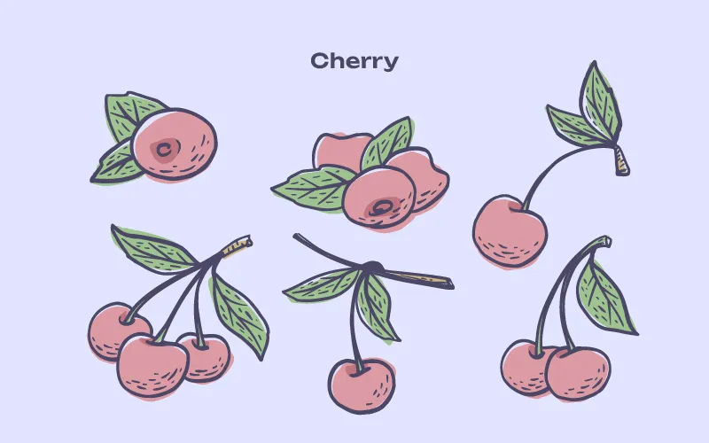 Cherry illustrations preview