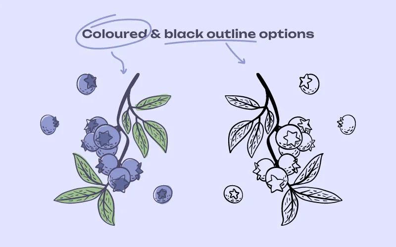 colored and outlined illustrations preview