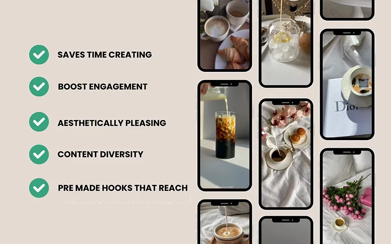 Highlights of the Videos